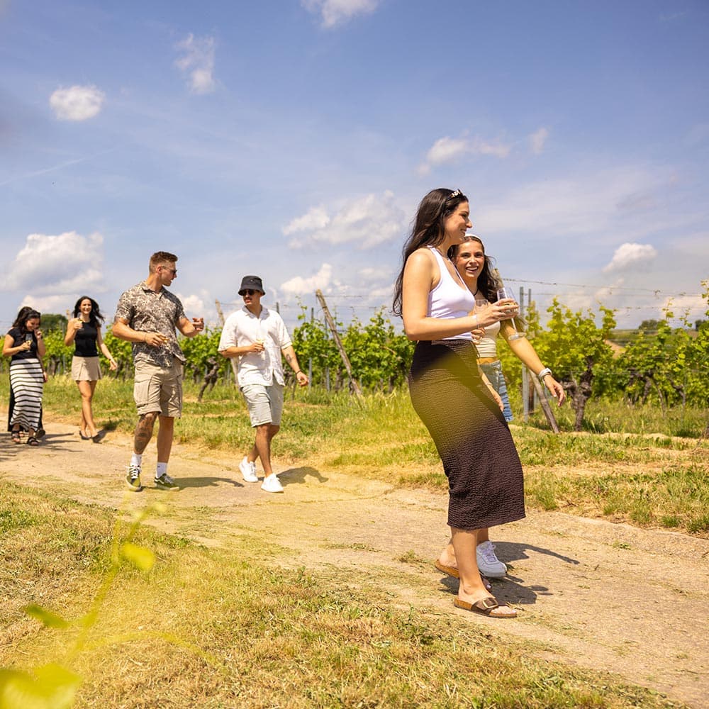 Weinwanderung am Fasanenhof - Weinwanderung Weinwanderung am Fasanenhof - Weinwanderung - Funzeln